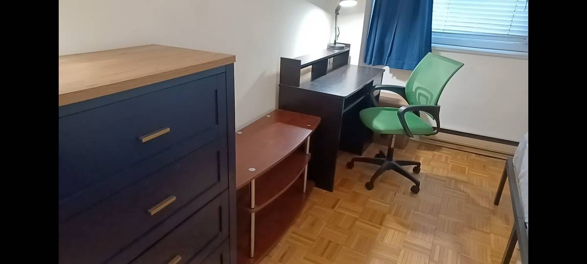 $1,350 / 1br - Furnished Room in Doorman building (Roosevelt Island) — photo 3